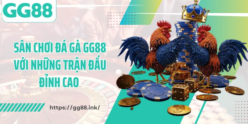 Sân chơi đá gà GG88 với những trận đấu đỉnh cao